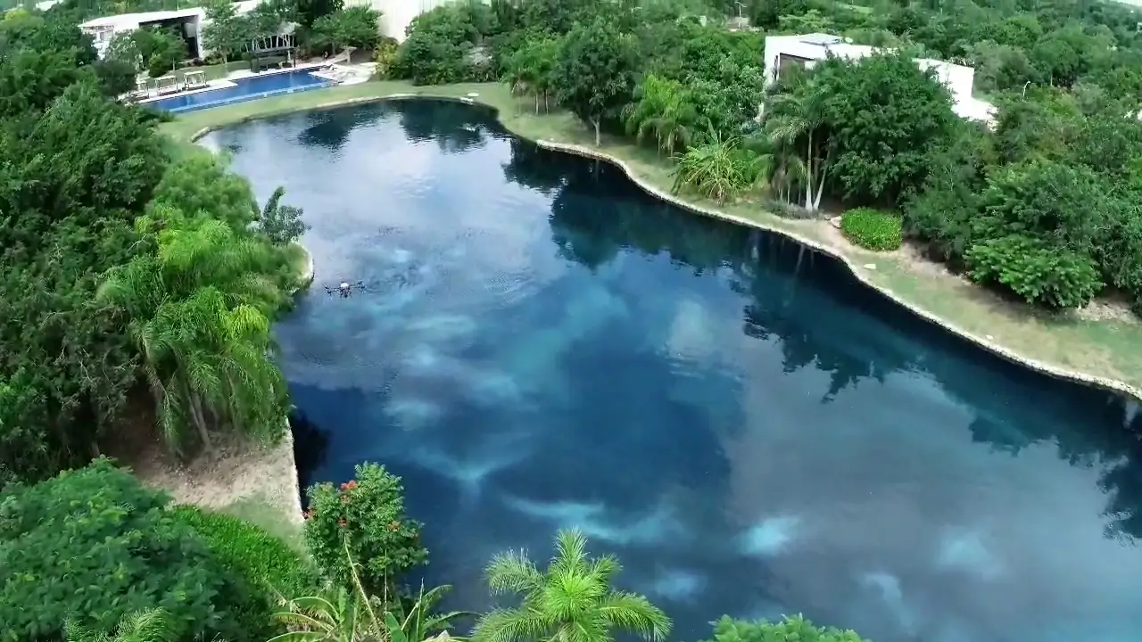 Vista aérea de un lago rodeado de vegetación
