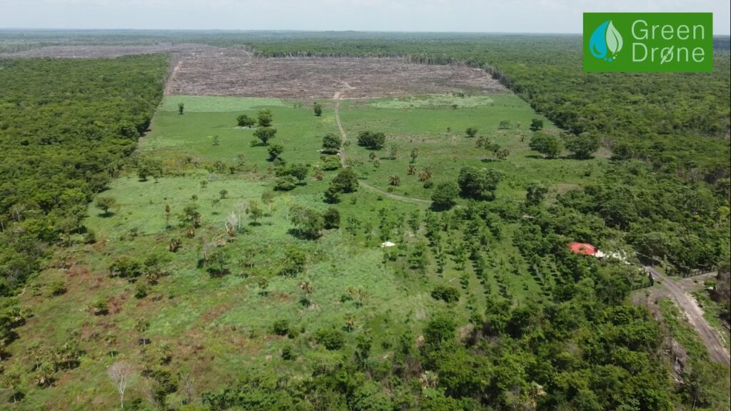 Drone aplicando sobre cultivos